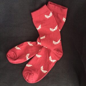 Image of pair of Hearts and Wings socks for women